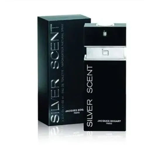 Perfume Masculino Silver Scent 100ml 