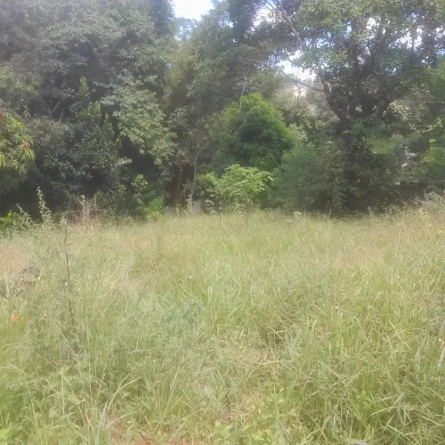 Terreno com Área Verde em Local Tranquilo