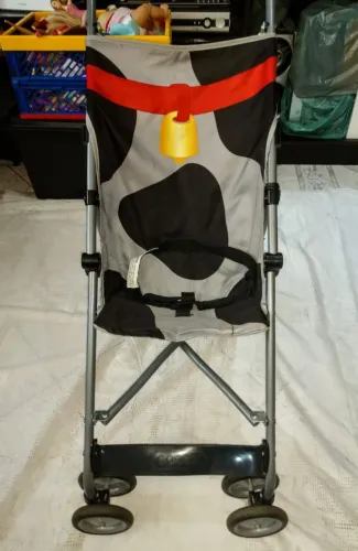 Carrinho de passeio cosco