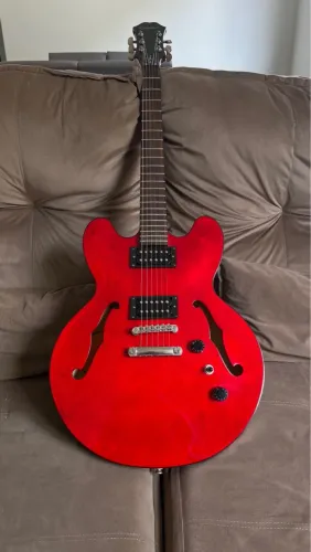 Epiphone Dot 335 Limited Edition 