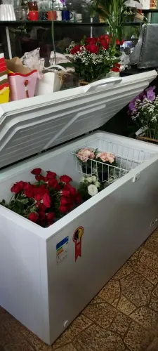 Freezer Philco 418L