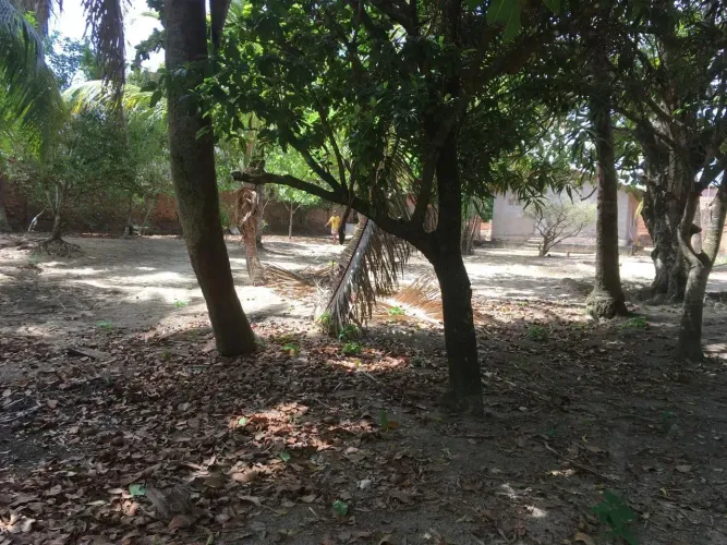 Imóvel para venda tem 2407 metros quadrados em Turu - São Luís - MA