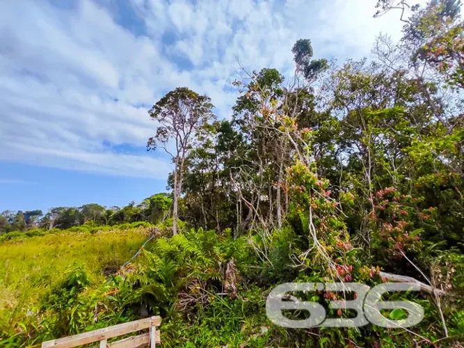Terreno | São Francisco do Sul | Ervino