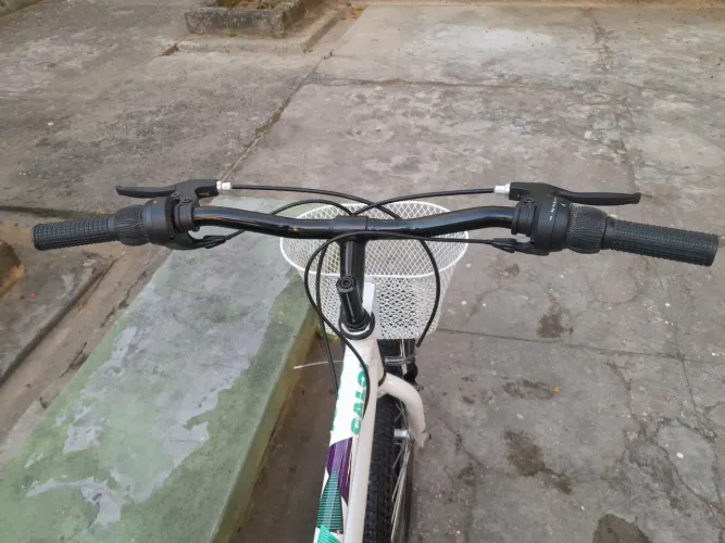Bicicleta Ceci