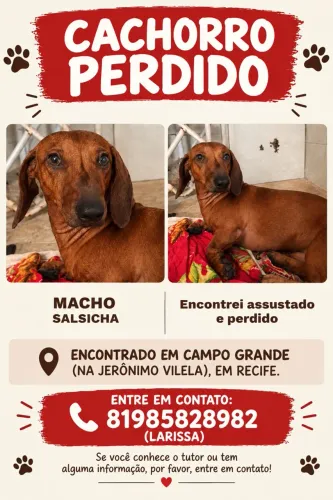 CACHORRO PERDIDO (salsichinha)
