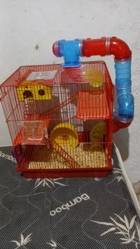 GAIOLA DE HAMSTER (USADA POR APENAS UM MÊS)