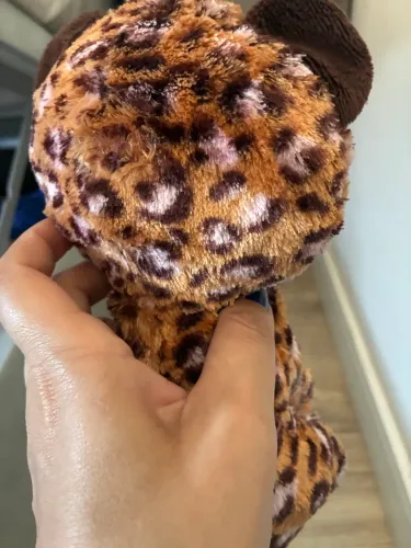 Pelúcia