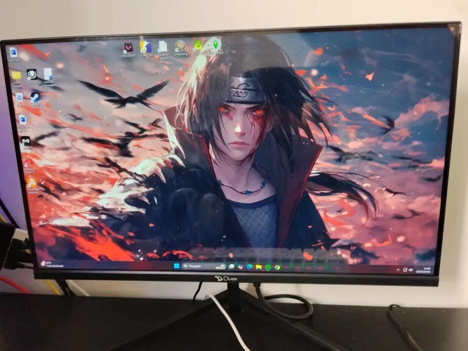 Monitor Duex 24º 