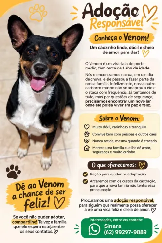 Adoção Responsável