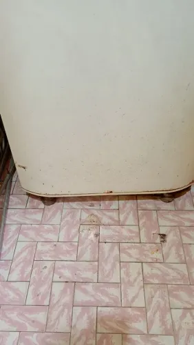 Geladeira Electrolux Df46 gelando muito bem só o congelador R$300,00