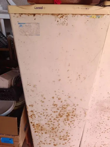 Freezer vertical