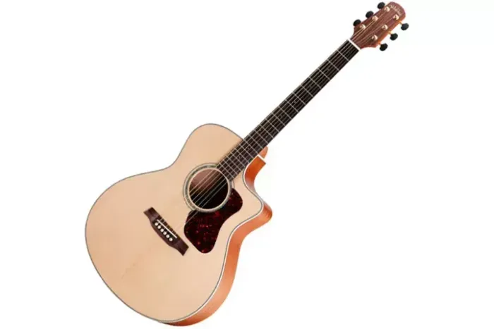 Violão Walden, modelo g740ce, tampo e fundo maciço,