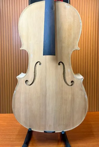 Violoncelo