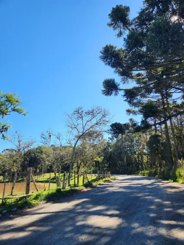 TERRENO RURAL em CAMPO ALEGRE - SC, Saltinho