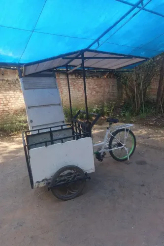 Carroça de bicicleta com teto