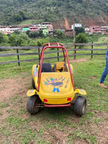 Mini Buggy Swell