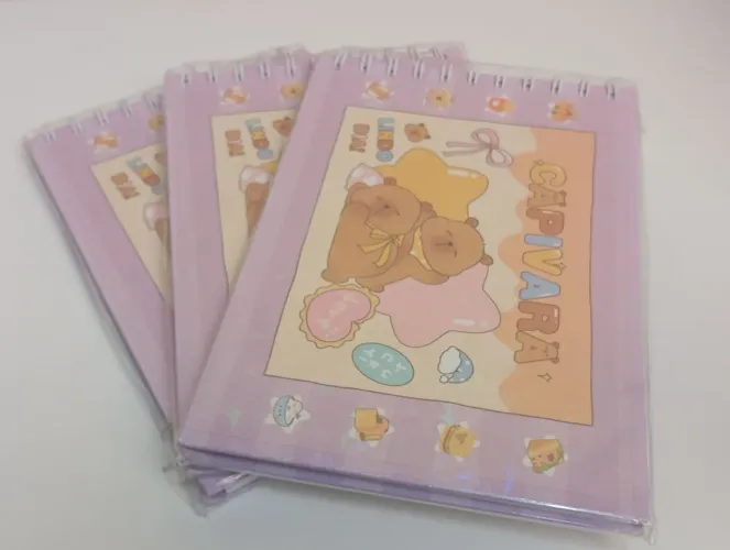 kit 3 Livros Infantil de colorir Capivara