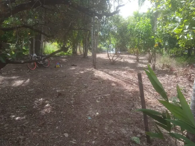 Terreno 11x40m - Dentro da Cidade | Ótima Oportunidade!