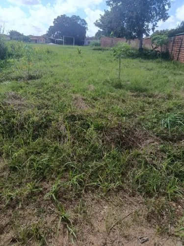 terreno à venda 10 por 50 29 por 50