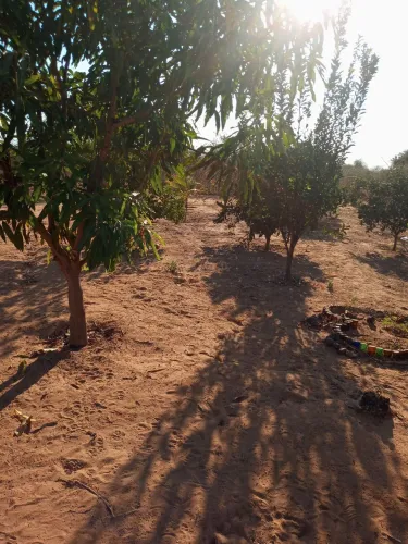 Terreno em Luislândia no Norte de Minas de 4 hectares
