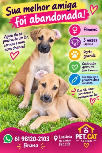 Abandonados