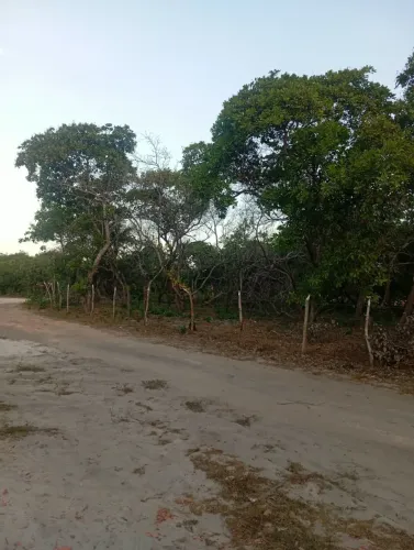 Terreno de 3200m² a Venda em Barreirinhas.