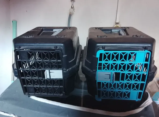 Caixa de transporte pet 