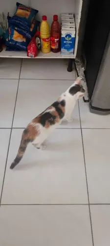 Doação