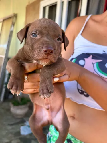 Pit monster