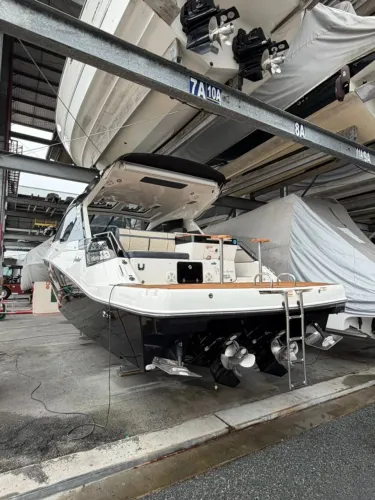 Focker 388 GT