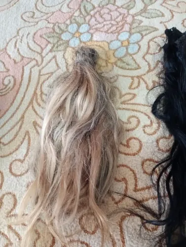 *97 louro preto. ZAP cabelo cabeça toda