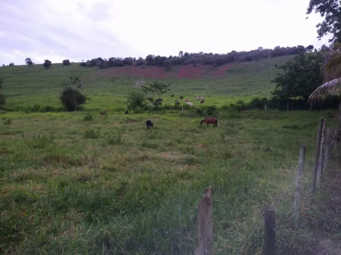 FAZENDINHAS DO DESERTO