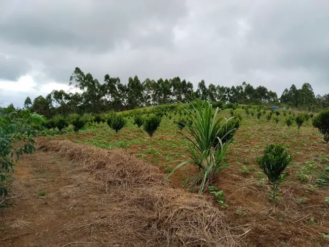 Terreno em Domingos Martins.