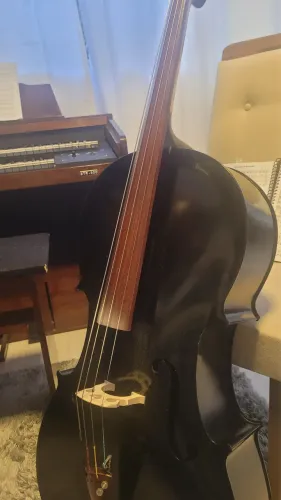 Violoncelo 