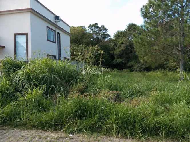 Terreno com 450m² à venda em Campeche, Florianópolis.