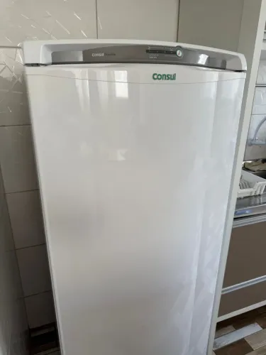 Geladeira 110 v
