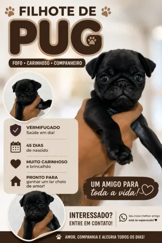 Filhote de pug preto
