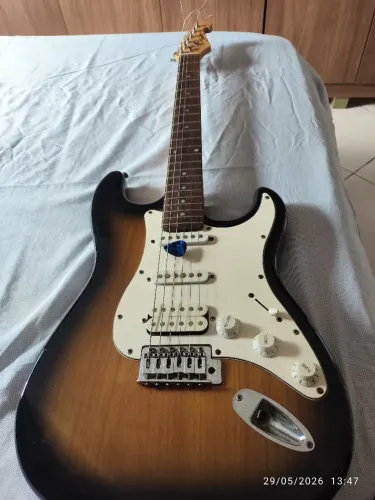 Guitarra shelter USA