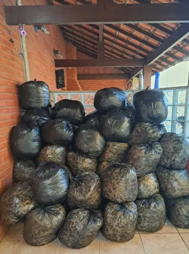 O título: Flocos de espuma para puff, almofadas e estofados - 41sacos
