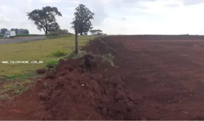 Terreno para Venda em Arapongas, RURAL