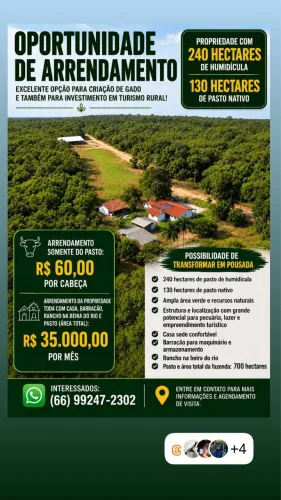 FAZENDA DE 700 HECTARES À VENDA OU PARA ARRENDAMENTO
