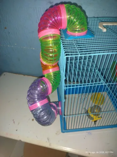 Gaiola com acessórios para hamster