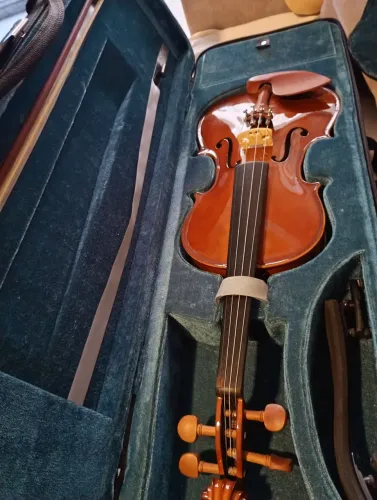 Violino Eagle 4/4 VE441 + Broa Gustave Bernabel