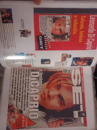 Fichário Leonardo DiCaprio + Backstreet Boys