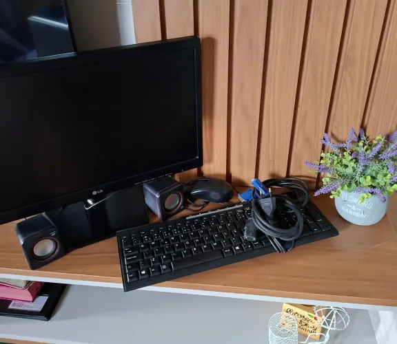 Monitor LG + teclado, mouse e caixas de som
