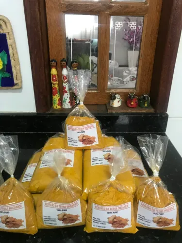 Açafrão orgânico 