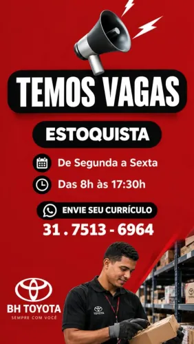 Estoquista Automotivo (sem experiência)