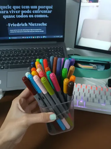 Canetas staedtler color duas pontas 33 unidades