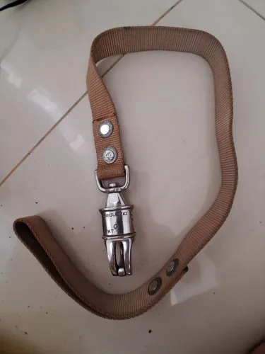 Guia para cachorro grande reforçada da marca seguezio