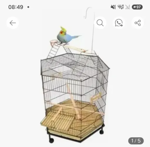 Gaiola Play para Calopsitas, periquitos com rodinhas.